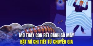 Mơ Thấy Con Rết Đánh Số Mấy